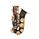  Kèn Saxophone Alto Yamaha YAS-875EXB 