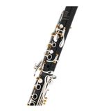  Kèn Clarinet RZ Capriccio Bb 18/6 