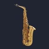  Kèn Saxophone Alto Selmer SA80 II Gold Lacquered 