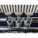  Kèn Trumpet Adams Le Rich Silver Plated 