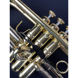  Kèn Trumpet Adams -Le Rich Laquered 