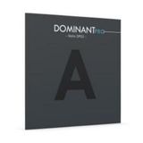  Dây đàn Violin Dominant Pro a String 4/4 medium Thomastik Infeld DP02 