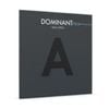  Dây đàn Violin Dominant Pro a String 4/4 medium Thomastik Infeld DP02 