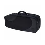  Hộp Kèn Saxophone Alto SA80 II Lacquered 