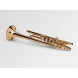  Kèn Trumpet Bb Adams A10 
