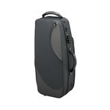  Hộp Kèn Saxophone Alto SA80 II Lacquered 