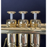  Kèn Trumpet Adams -Le Rich Laquered 