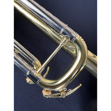  Kèn Trumpet Adams -Le Rich Laquered 