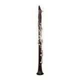  Kèn Clarinet RZ Capriccio Bb 18/6 
