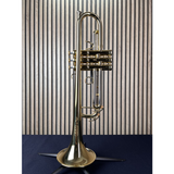  Kèn Trumpet Adams -Le Rich Laquered 