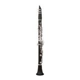  Kèn Clarinet RZ Base Bb CL3501-0 