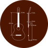  Đàn Guitar Paco Castillo 203 