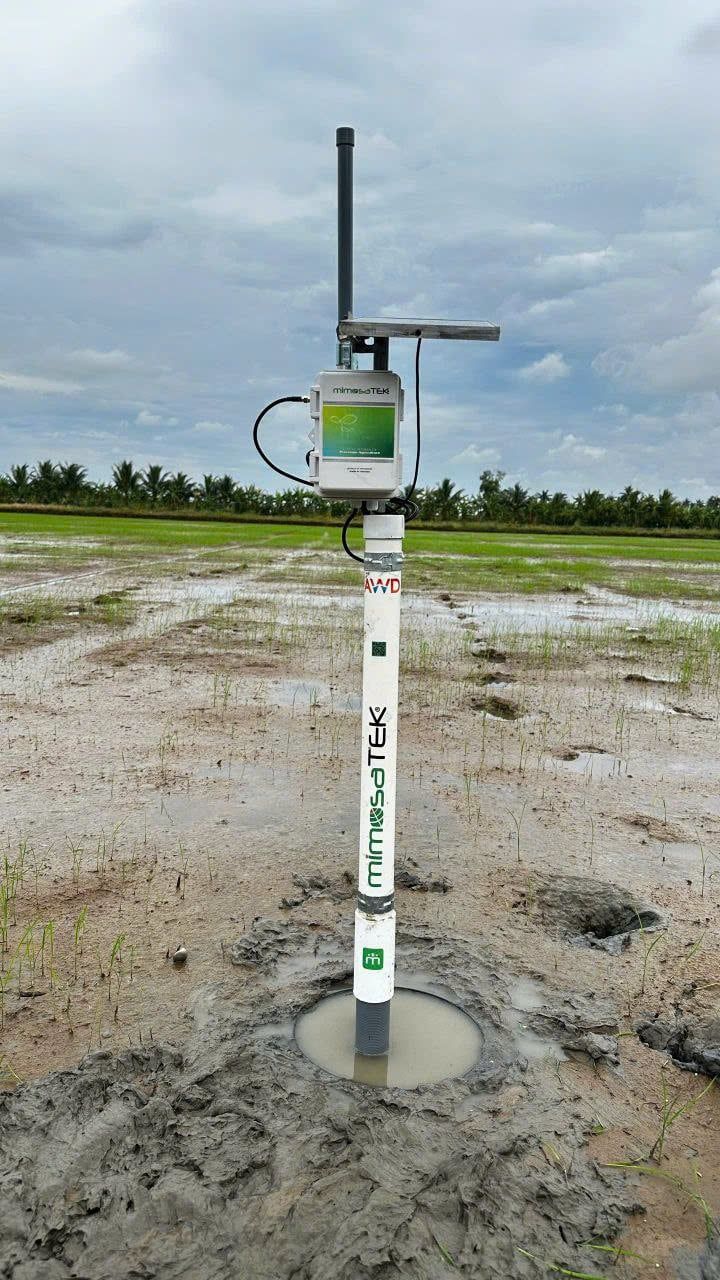 Ống Đo Mực Nước Đồng Ruộng AWD (MMS00041)