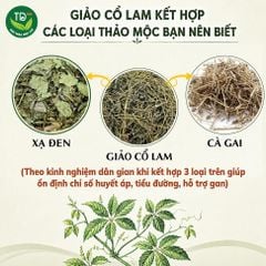 Trà giảo cổ lam SaPa 7 lá, hàng mùa mới, khô, sạch, thơm, hỗ trợ tuần hoàn, thanh lọc cơ thể, cân bằng sức khỏe