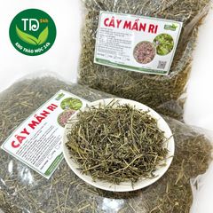 Cây Màn Ri, màng ghi hoa tím, mần ri tía khô hàng công ty, sạch khô, thơm