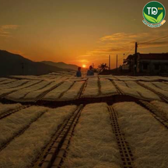 Miến dong Phia Đén, đặc sản Cao Bằng, sợi dai giòn, cam kết 100% không hóa chất, hàng công ty