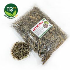 Cây Vòi Voi, thảo mộc thiên nhiên giúp thanh nhiệt, lợi tiểu, hỗ trợ viêm xoang, da cơ địa, giảm đau sưng khớp