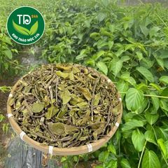 Dây thìa canh Thái Nguyên chính hiệu, hàng mùa mới, khô, sạch, thơm, tốt cho người tiểu đường, mỡ máu, lợi tiểu