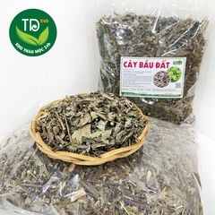 Cây bầu đất tía khô, hàng mới khô, thơm, cải thiện nội tiết tố, hỗ trợ điều hòa kinh nguyệt.