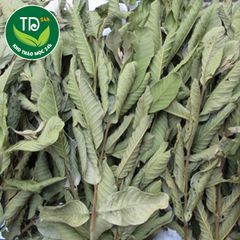 Lá ổi sấy khô (hàng loại 1), hỗ trợ tiêu hóa, kiểm soát đường, giữ dáng thon gọn