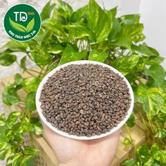 Nữ trinh tử, hàng loại 1, khô, thơm, không lẫn tạp chất