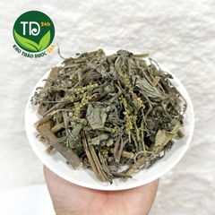 Cây Vòi Voi, thảo mộc thiên nhiên giúp thanh nhiệt, lợi tiểu, hỗ trợ viêm xoang, da cơ địa, giảm đau sưng khớp
