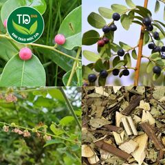 Cây Phèn Đen khô, hàng loại 1, mới, khô thơm