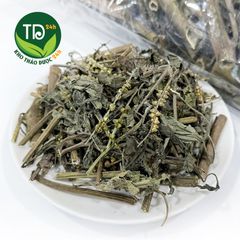 Cây Vòi Voi, thảo mộc thiên nhiên giúp thanh nhiệt, lợi tiểu, hỗ trợ viêm xoang, da cơ địa, giảm đau sưng khớp