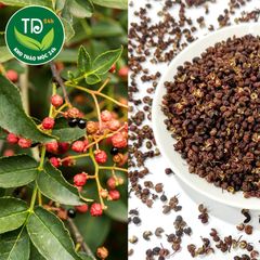 Hạt Xuyên Tiêu đỏ ( Hoa tiêu, tiêu Tứ Xuyên), hàng loại A, 100 gram, khô sạch thơm, cay, nồng đặc trưng, làm lẩu, gia vị ướp