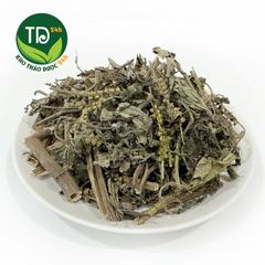 Cây Vòi Voi, thảo mộc thiên nhiên giúp thanh nhiệt, lợi tiểu, hỗ trợ viêm xoang, da cơ địa, giảm đau sưng khớp