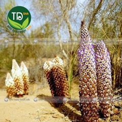 Nhục thung dung, hàng loại 1, củ to, thơm, tăng cường sinh lực, bổ thận, tráng dương, dùng ngâm rịu, pha trà, nấu ăn