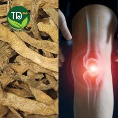 Thiên niên kiện sấy khô, hỗ trợ các vấn đề về dạ dày, trợ tiêu hóa, thoái hóa xương khớp, nhức mỏi gân xương