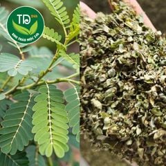 Lá diệp hạ châu sấy khô, hàng vụ mới, không lẫn tap chất, khô, thơm, sạch
