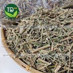 Cây cỏ xước khô, hỗ trợ ngừa sỏi thận, tiểu đường, mỡ máu cao, ổn định kinh nguyệt, tốt cho người bị thoái hóa khớp xương