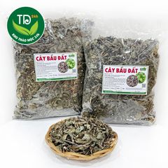Cây bầu đất tía khô, hàng mới khô, thơm, cải thiện nội tiết tố, hỗ trợ điều hòa kinh nguyệt.