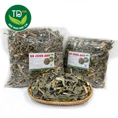 Bồ công anh, sấy khô, nguyên lá, 500 gr, trà bồ công anh thanh nhiệt cơ thể, hỗ trợ lợi sữa, mát sữa