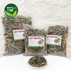 Cây Vòi Voi, thảo mộc thiên nhiên giúp thanh nhiệt, lợi tiểu, hỗ trợ viêm xoang, da cơ địa, giảm đau sưng khớp