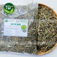 Cây cỏ xước khô, hỗ trợ ngừa sỏi thận, tiểu đường, mỡ máu cao, ổn định kinh nguyệt, tốt cho người bị thoái hóa khớp xương