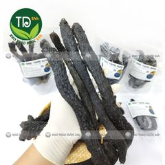 Nhục thung dung, hàng loại 1, củ to, thơm, tăng cường sinh lực, bổ thận, tráng dương, dùng ngâm rịu, pha trà, nấu ăn