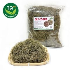 Cỏ sữa sấy khô, hàng lá nhỏ, loại 1, thanh nhiệt, hỗ trợ tiêu hóa tốt