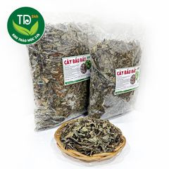 Cây bầu đất tía khô, hàng mới khô, thơm, cải thiện nội tiết tố, hỗ trợ điều hòa kinh nguyệt.