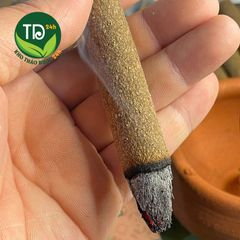Ngải bồ kết, thành phần từ lá ngải cứu tự nhiên, ít tàn, ít khói, phù hợp sử dụng trong diện chẩn, hơ ngải và massage