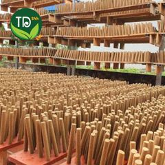 Ngải xoang, ngừa viêm xoang, viêm mũi, viêm tai, dụng cụ diện chẩn 100% tự nhiên (điếu ngải diện chẩn)