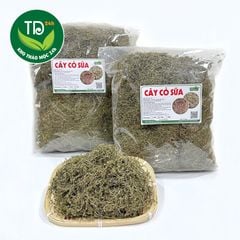 Cỏ sữa sấy khô, hàng lá nhỏ, loại 1, thanh nhiệt, hỗ trợ tiêu hóa tốt