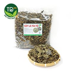 Cây tía tô khô, hàng loại 1, hỗ trợ ngừa gút, thanh nhiệt, làm đẹp da, lấy lại vóc dáng