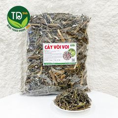 Cây Vòi Voi, thảo mộc thiên nhiên giúp thanh nhiệt, lợi tiểu, hỗ trợ viêm xoang, da cơ địa, giảm đau sưng khớp