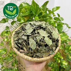 [01 kg] Xạ đen Hoà Bình chính hiệu, hàng lá cực đẹp, nhẹ thân, an tâm mỗi ngày, thanh lọc cơ thể, tinh thần thư thái