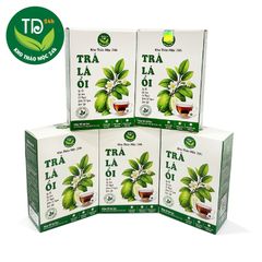 Trà búp ổi (lá ổi non) dạng túi lọc, thảo mộc cho sức khoẻ, thơm dịu vị thiên nhiên, hàng loại 1, 100% từ thiên nhiên