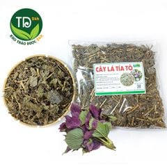Cây tía tô khô, hàng loại 1, hỗ trợ ngừa gút, thanh nhiệt, làm đẹp da, lấy lại vóc dáng
