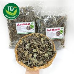 Cây bầu đất tía khô, hàng mới khô, thơm, cải thiện nội tiết tố, hỗ trợ điều hòa kinh nguyệt.